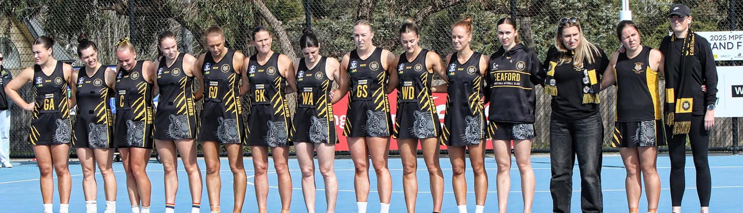 Netball page image